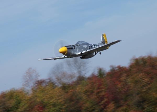dynam p51 v2