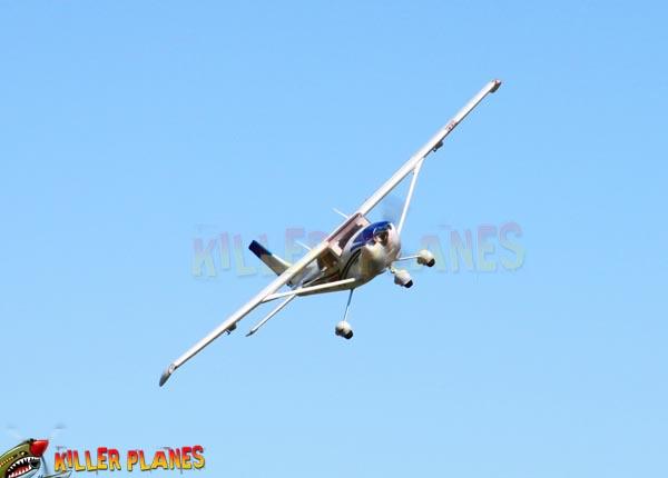 dynam cessna 182 sky trainer